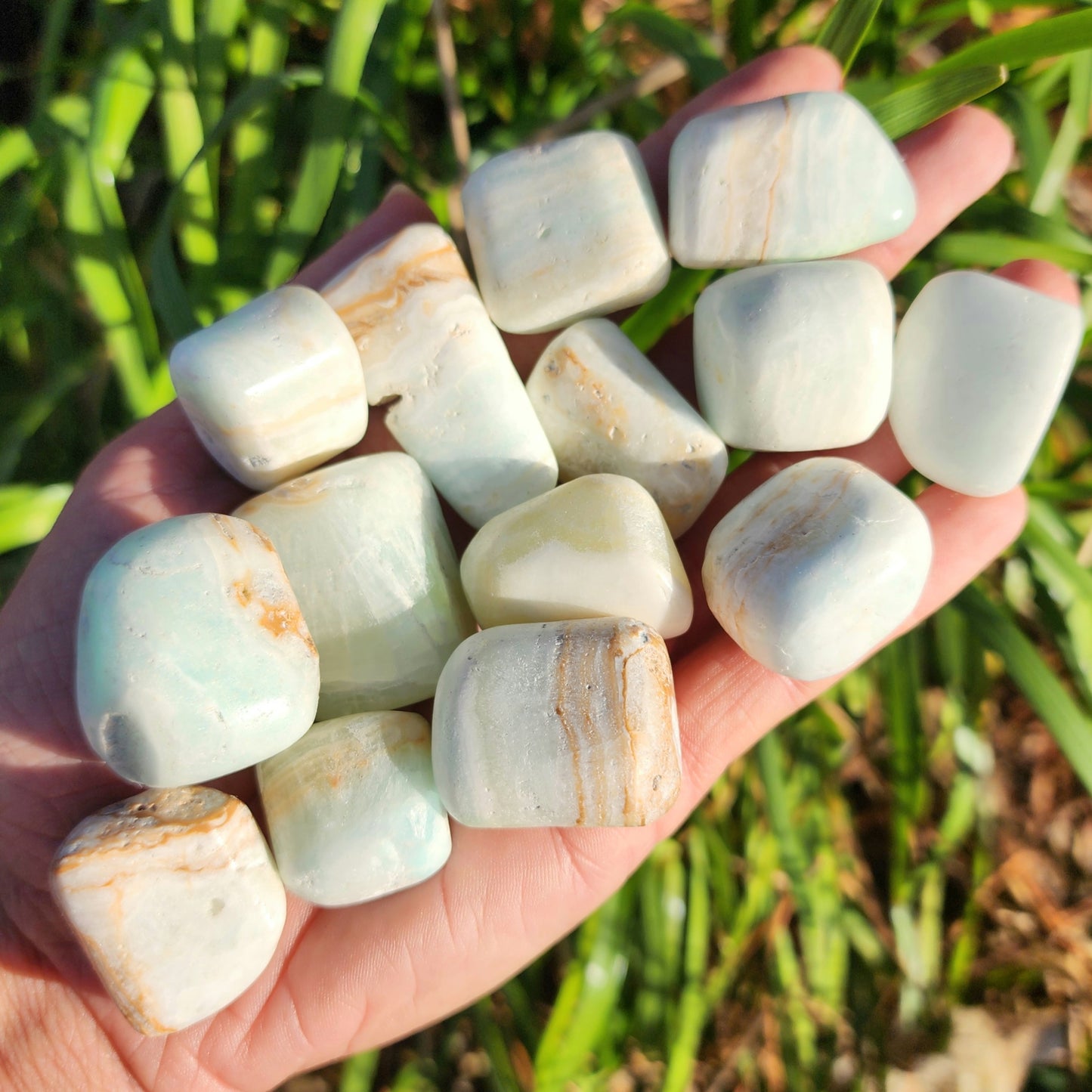 Caribbean Calcite Tumble