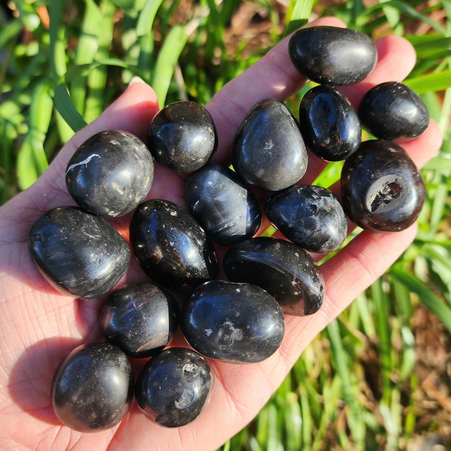 Agni Manitite Tumble