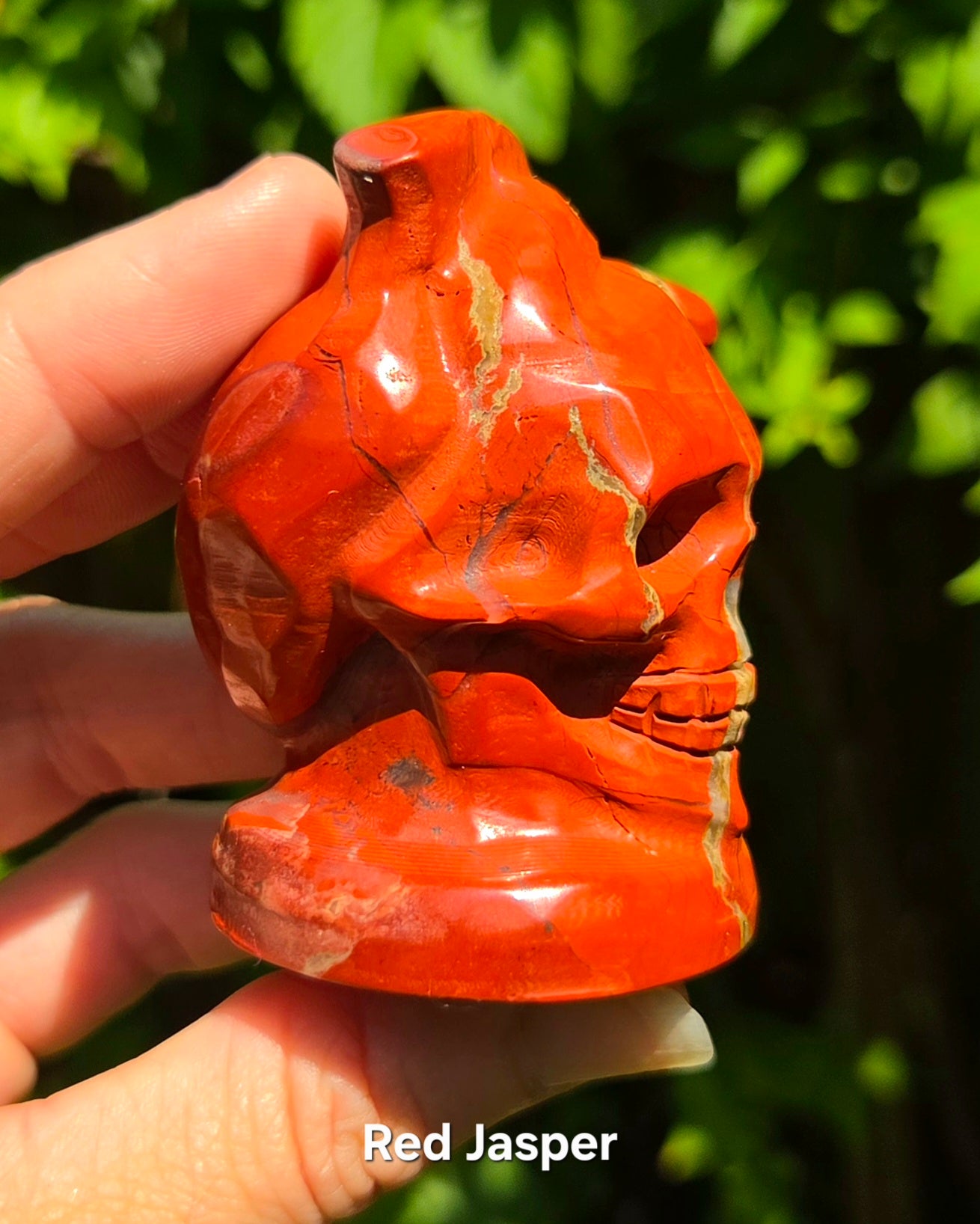 Skull with Anatomical Heart (Black Obsidian or Red Jasper)
