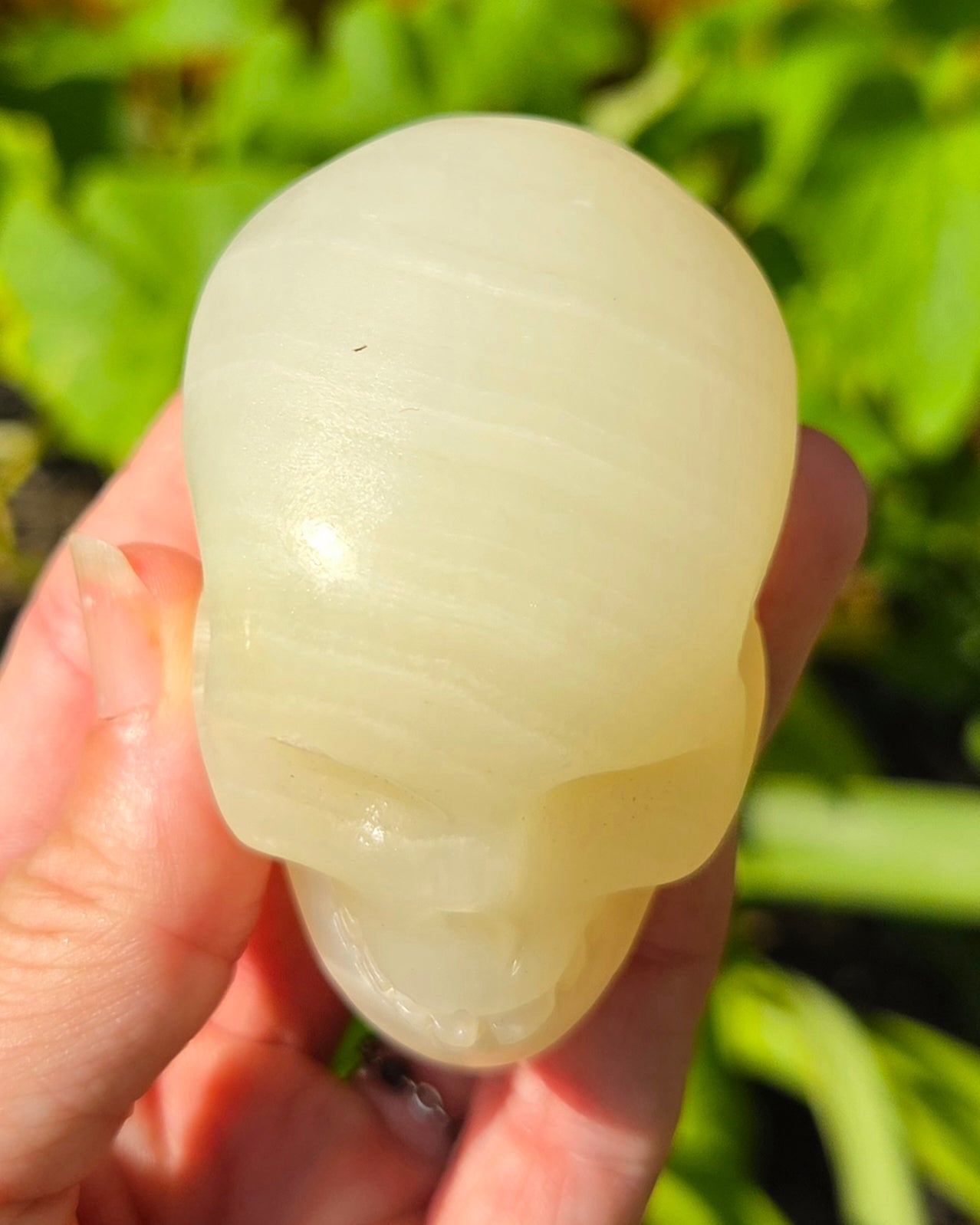 Green Banded Calcite Skull