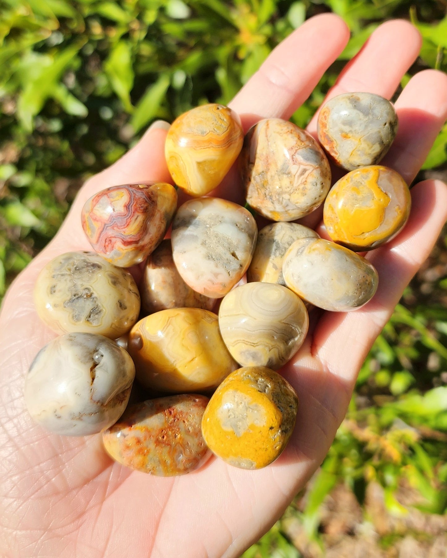 Crazy Lace Agate Tumble