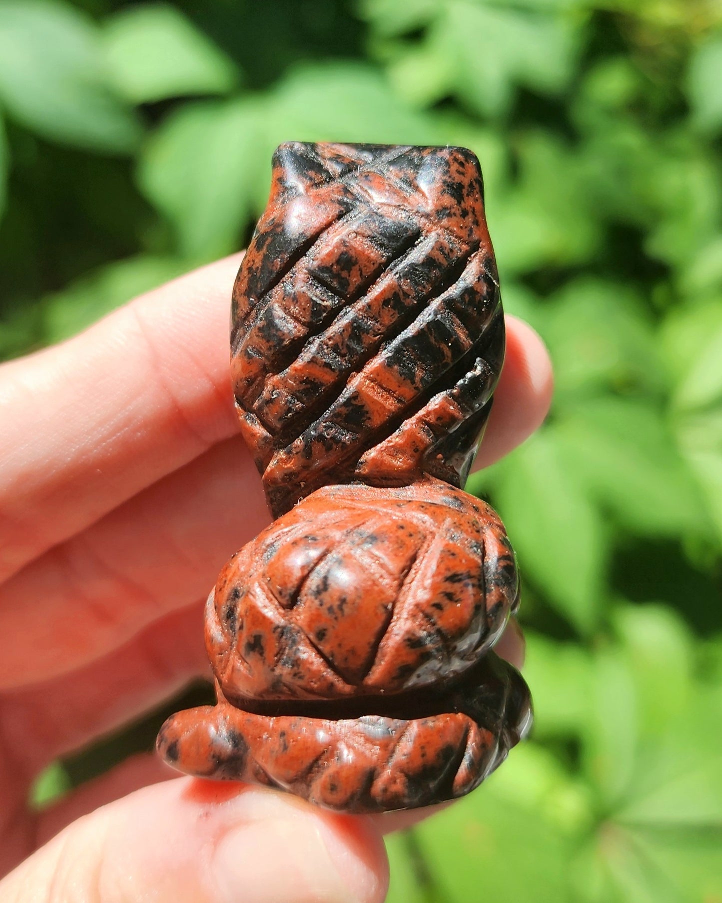 Mahogany Obsidian Cobra