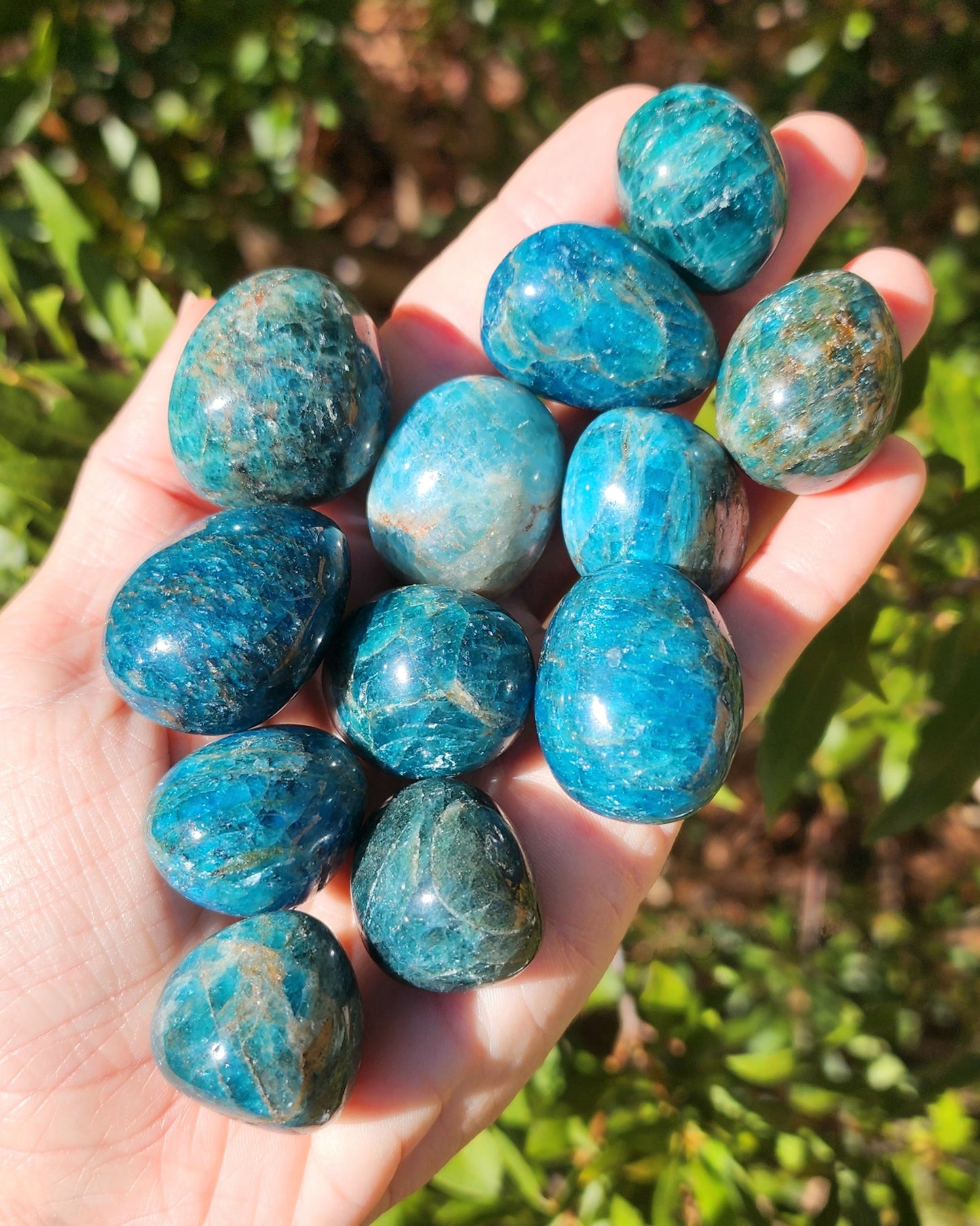 Blue Apatite Tumble