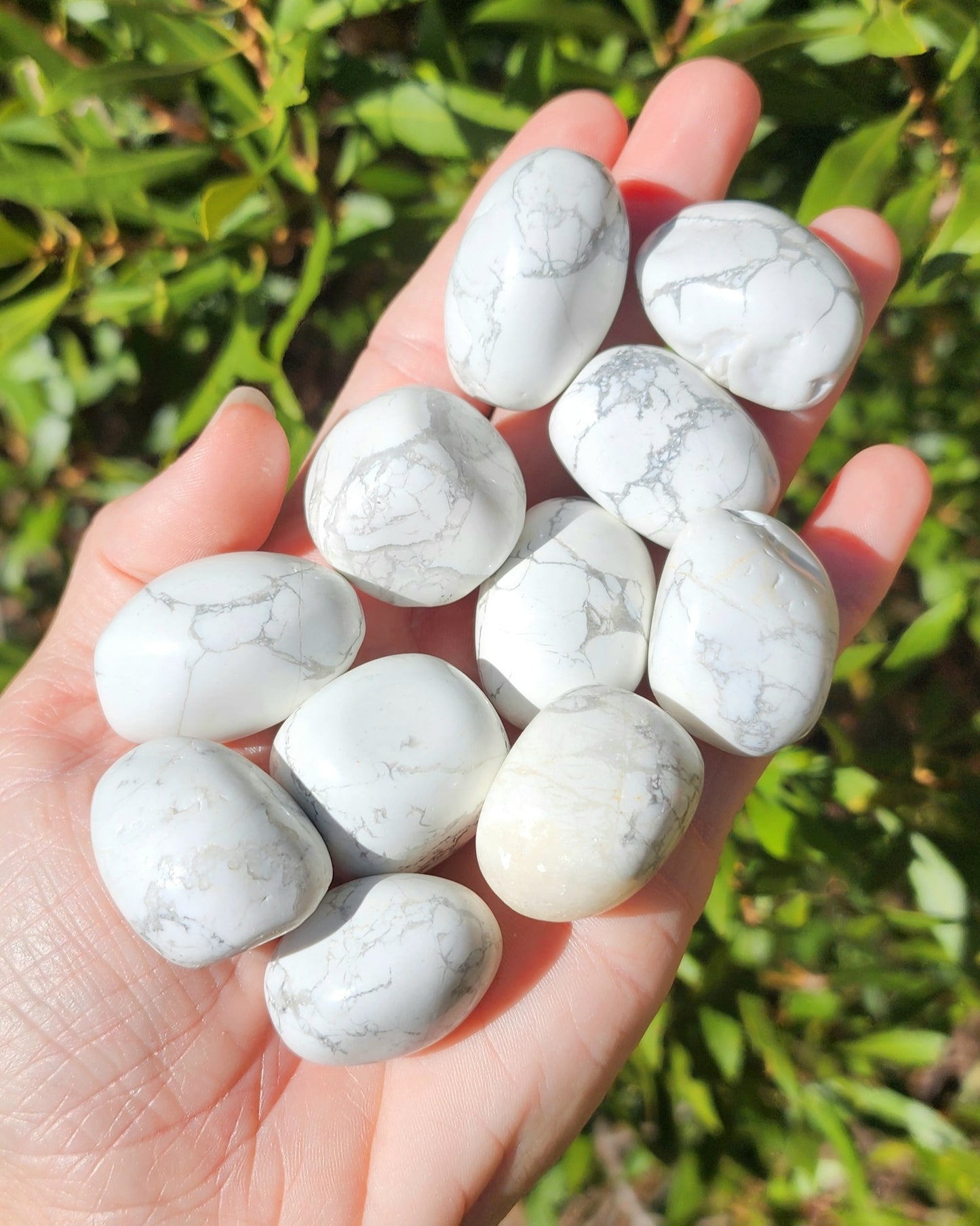 Howlite Tumble