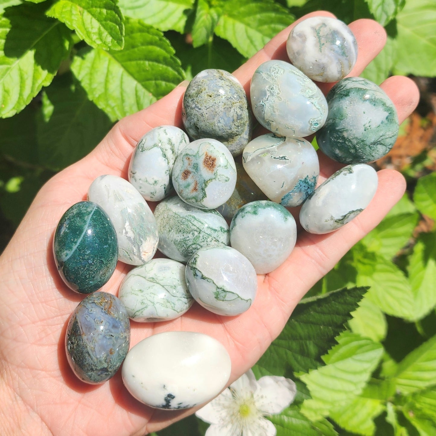 Mixed Moss Agate & Tree Agate Tumble