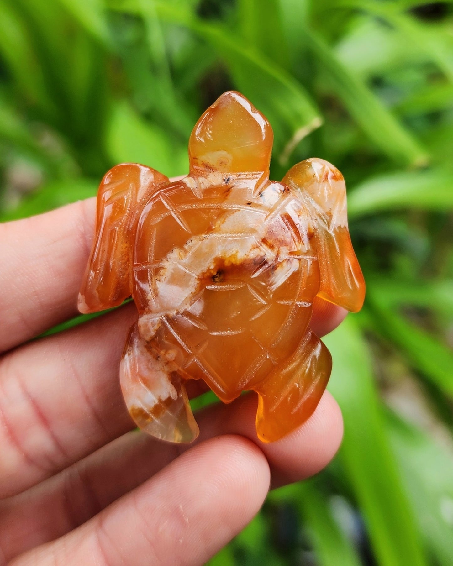 Carnelian Sea Turtle Carving
