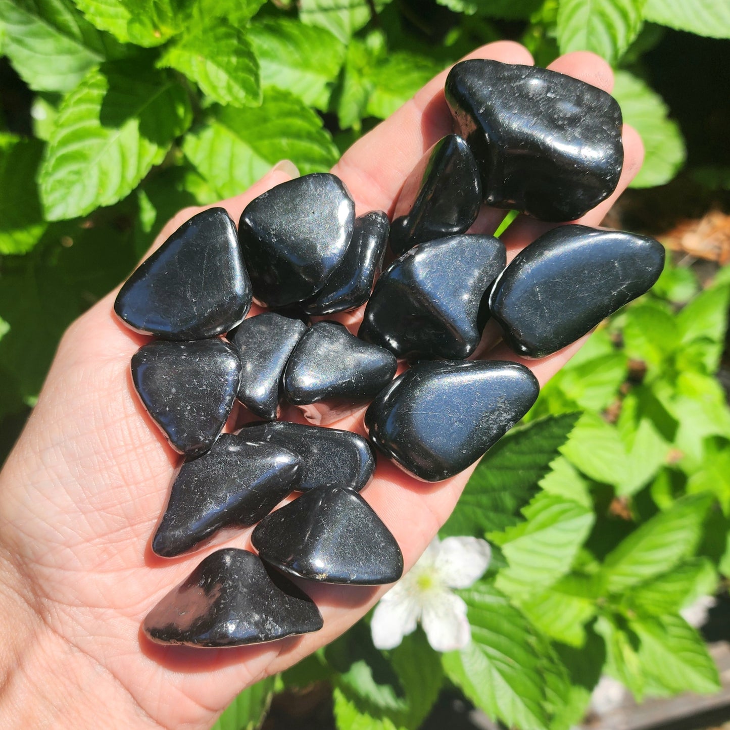 Shungite Tumble