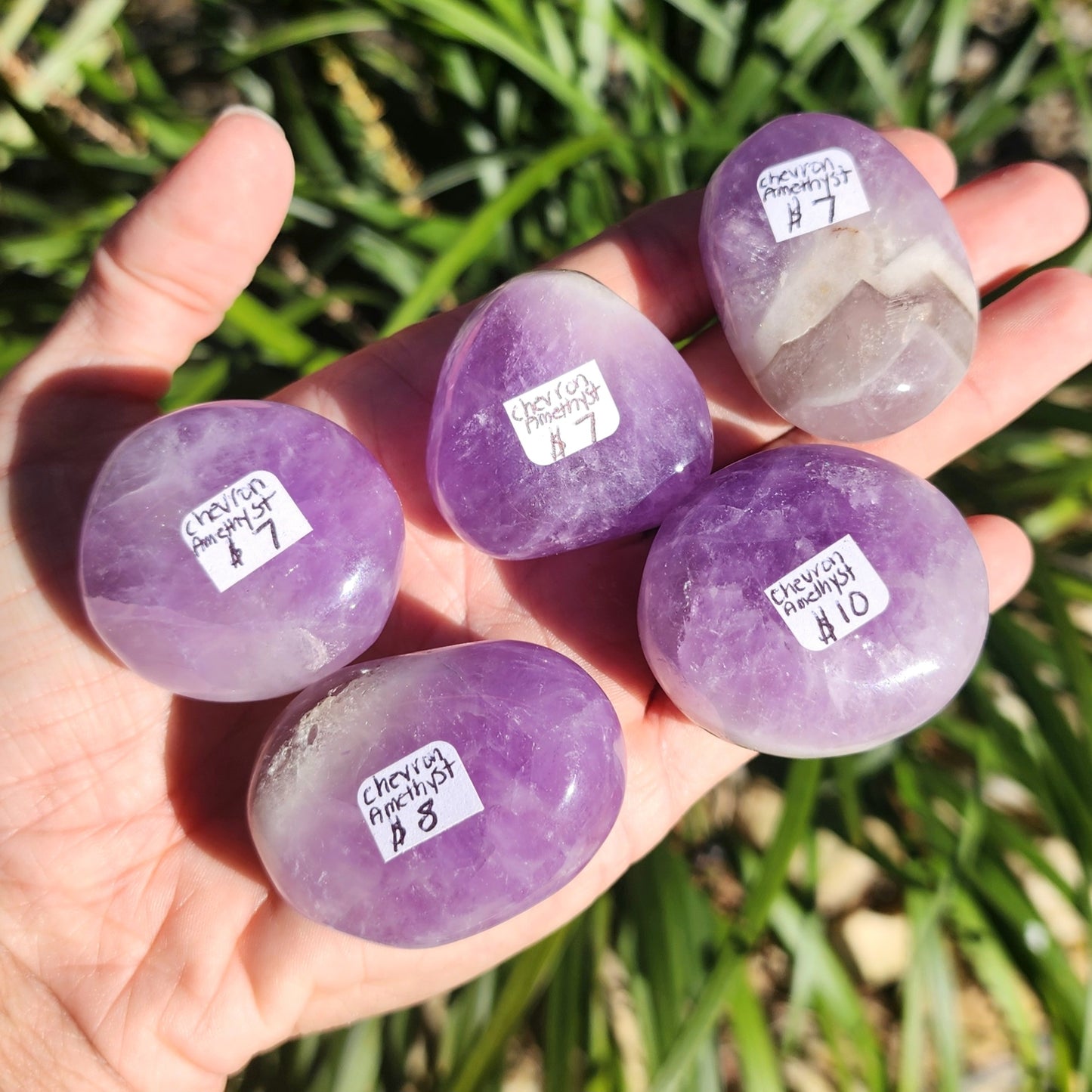 Dream Amethyst Palm Stones