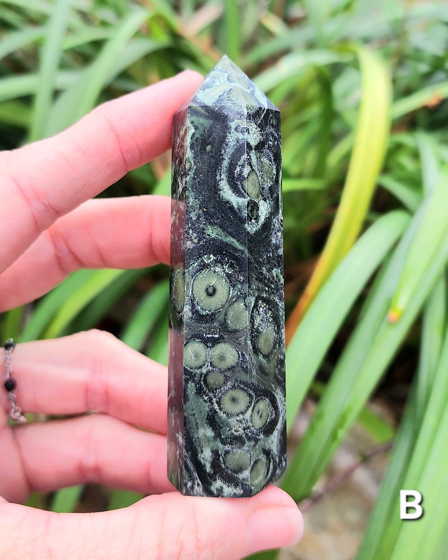 Kambaba Jasper Towers