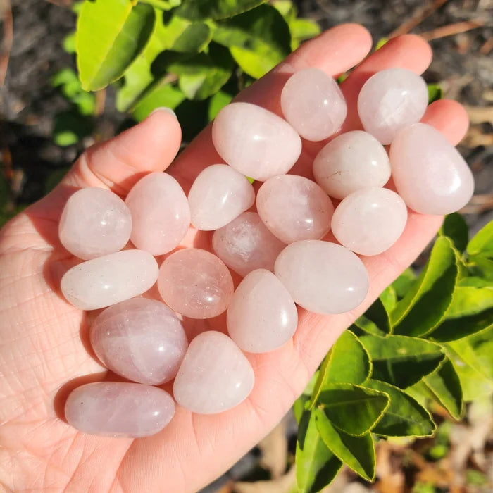 Rose Quartz Tumble