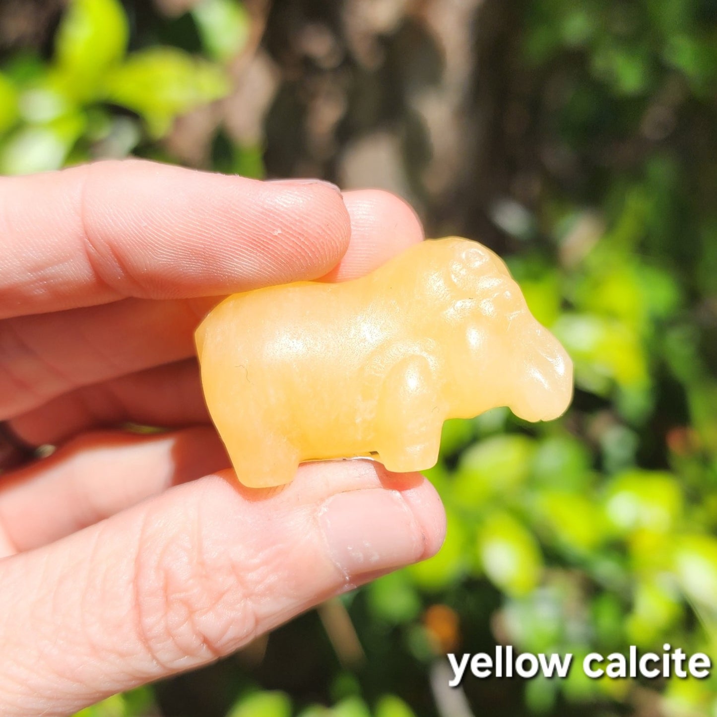 Hippos (Yellow Calcite or Obsidian)