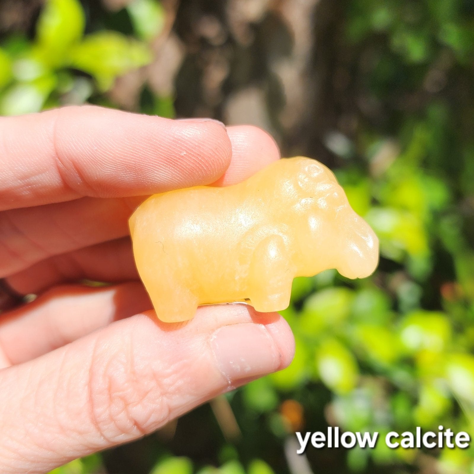 Hippos (Yellow Calcite or Obsidian)