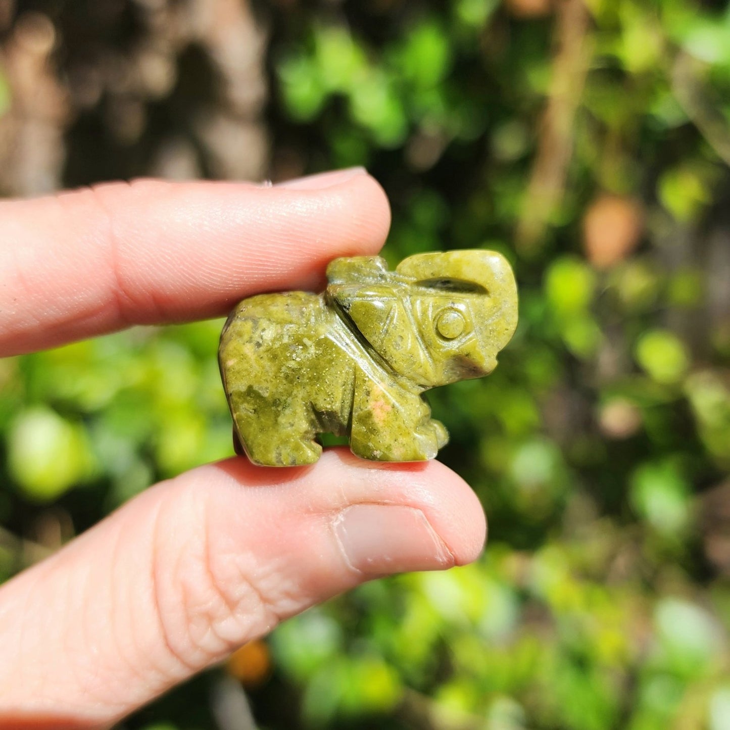 Mystery Mini Elephant