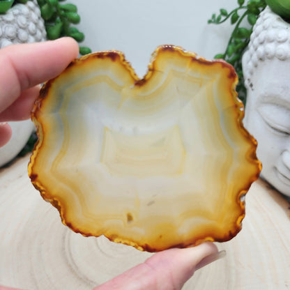 Iris Agate Slice E