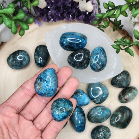 Blue Apatite Tumble