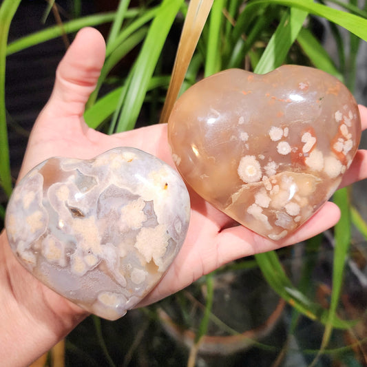 Flower Agate Hearts