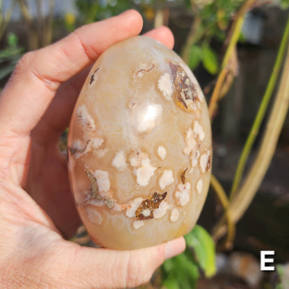 Flower Agate Freeforms