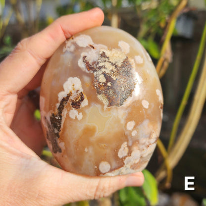 Flower Agate Freeforms