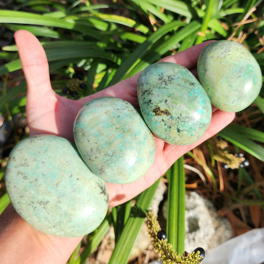 Chrysocolla in Jasper Palm Stones