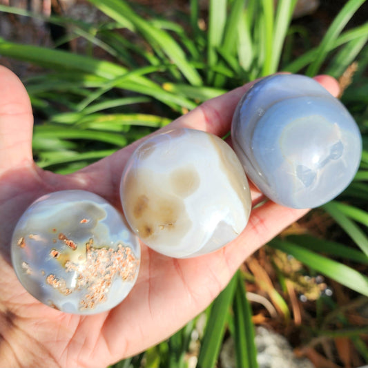 Agate Palm Stones