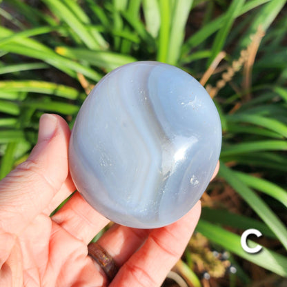 Agate Palm Stones