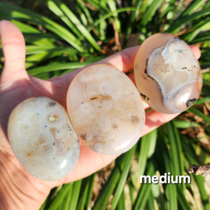Dendritic Agate Palm Stones