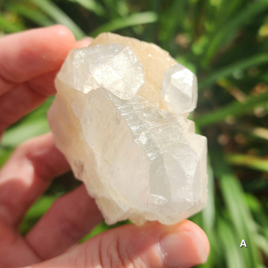 Apophyllite Specimens