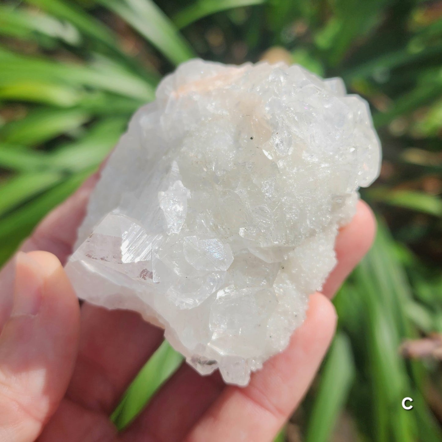 Apophyllite Specimens