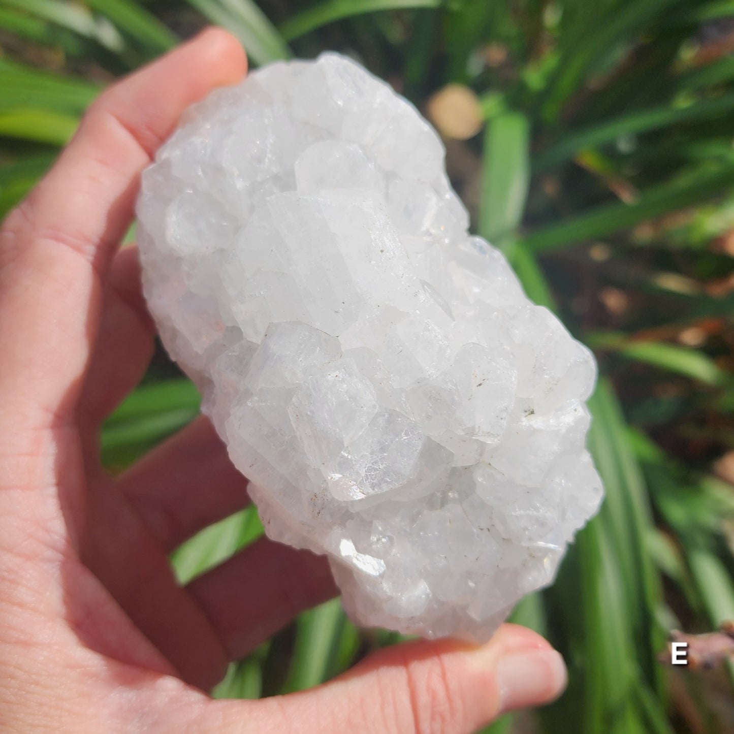 Apophyllite Specimens