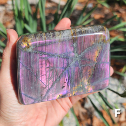 Purple Labradorite Freeforms