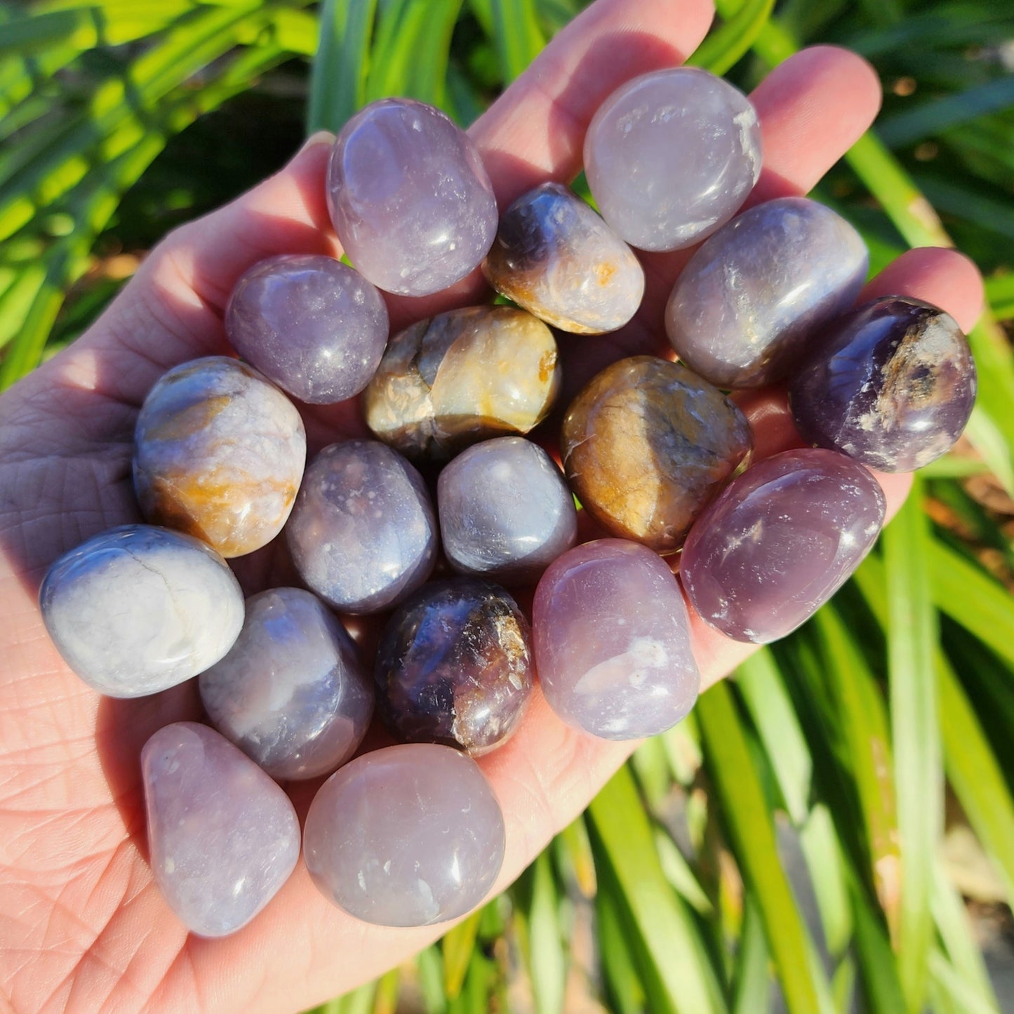 Purple Chalcedony Tumble