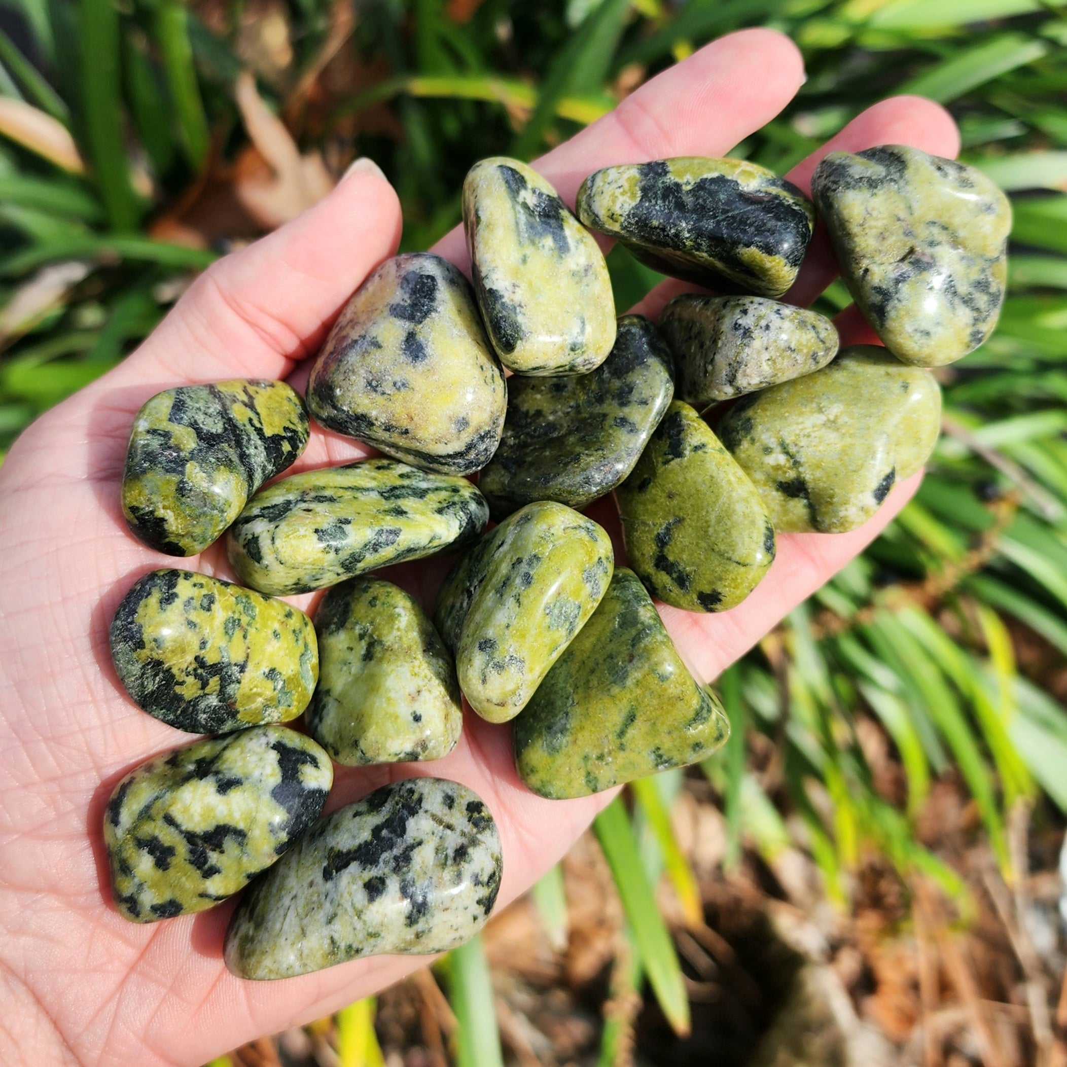 Lizardite Serpentine Tumble – Twisted Goddess Crystals