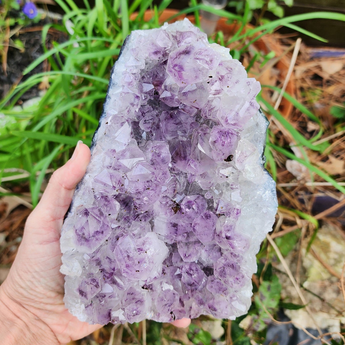 Self Standing Amethyst Cluster D