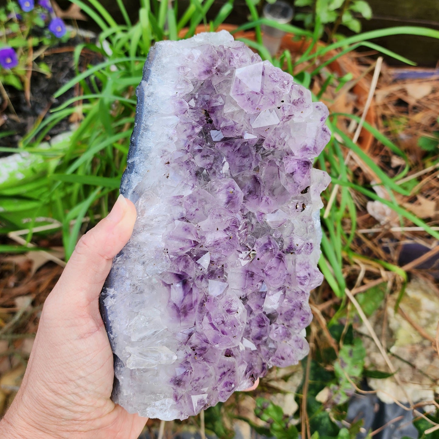 Self Standing Amethyst Cluster D