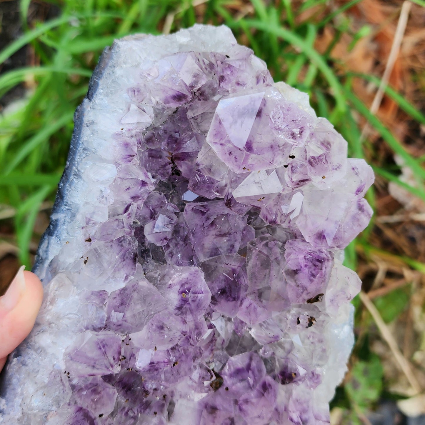 Self Standing Amethyst Cluster D