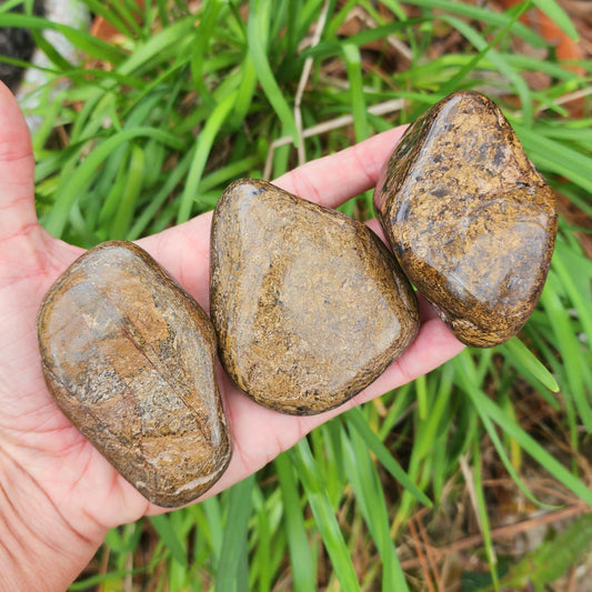 Bronzite Freeform Palm Stones