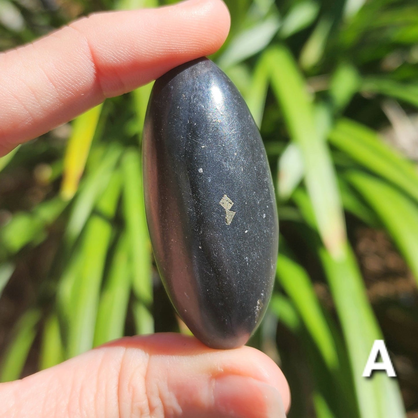 Black Onyx w/ Pyrite Shiva Lingams