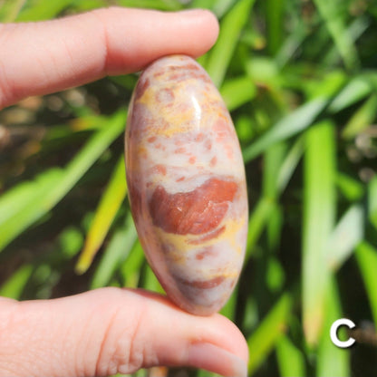 Strawberry Jasper Shiva Lingams