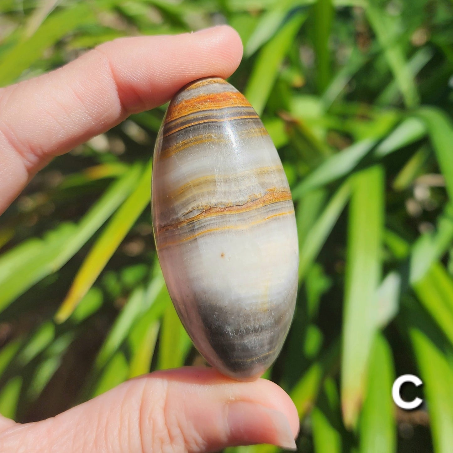 Bumblebee Calcite Shiva Lingams