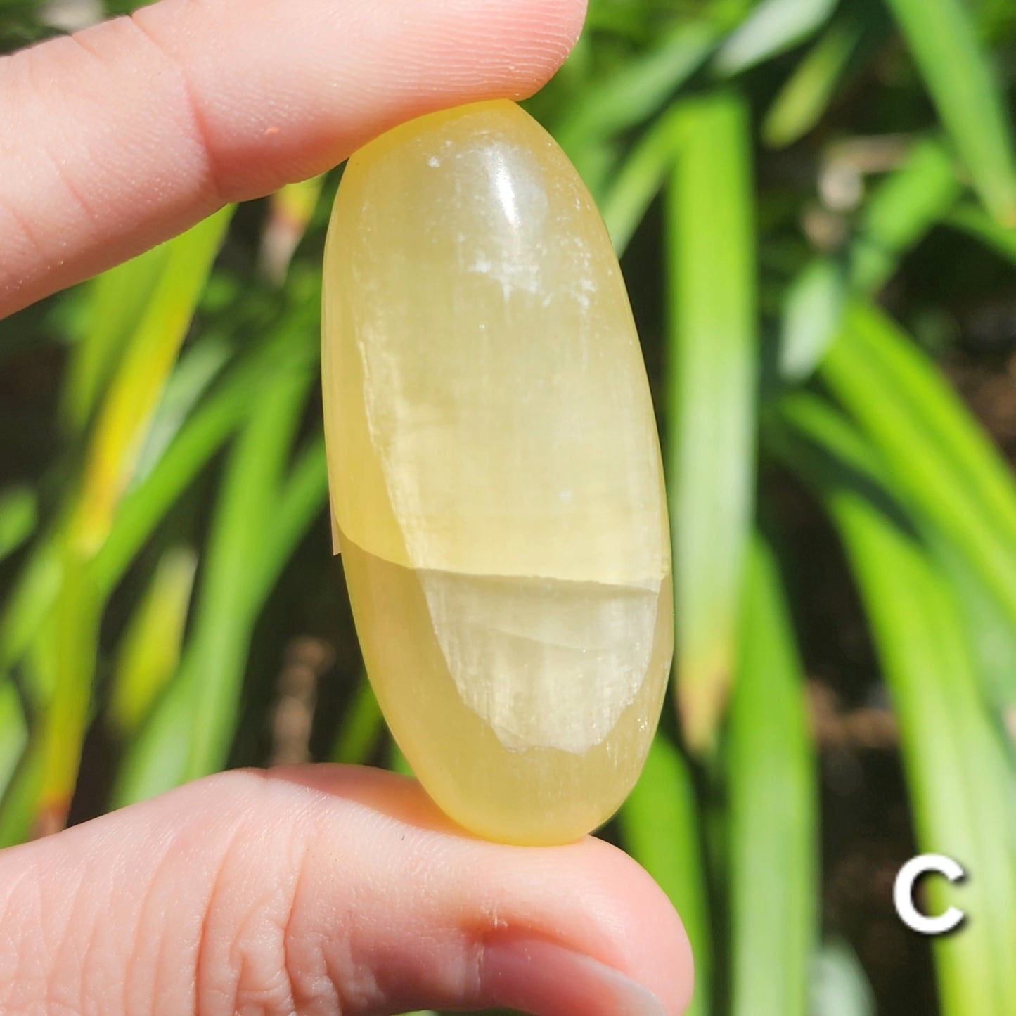 Lemon Calcite Shiva Lingams