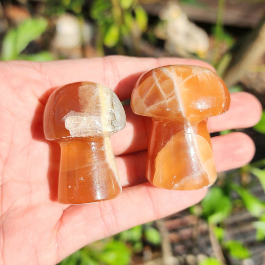 Honey Calcite Mushrooms