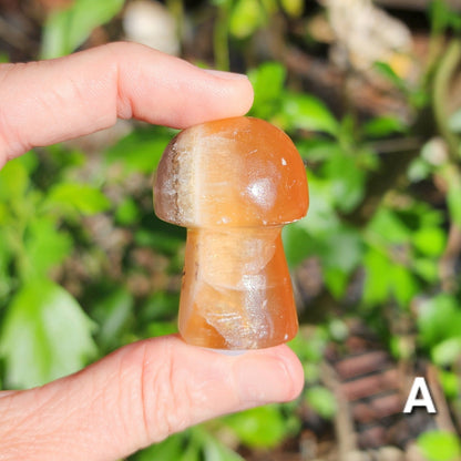 Honey Calcite Mushrooms