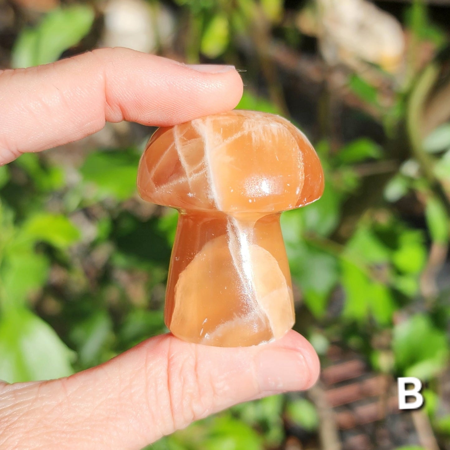 Honey Calcite Mushrooms