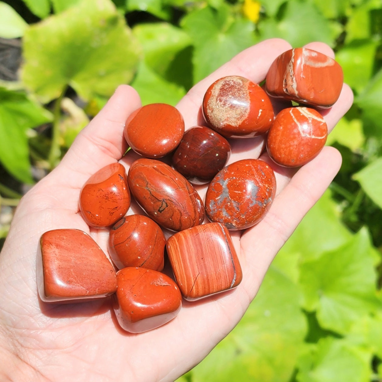 Red Jasper Tumble