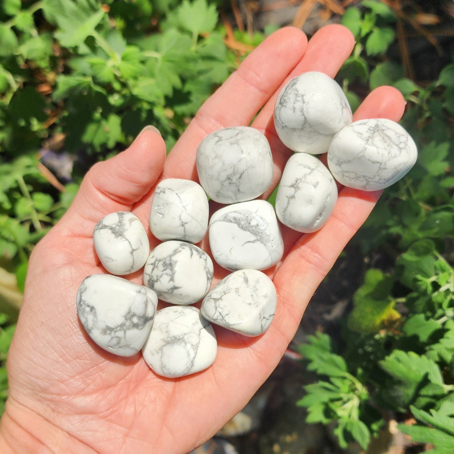 Howlite Tumble