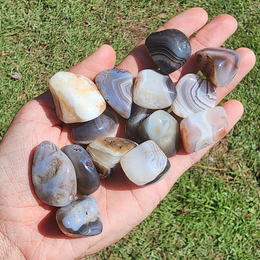 Botswana Agate Tumble