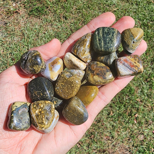 Ocean Jasper Tumble