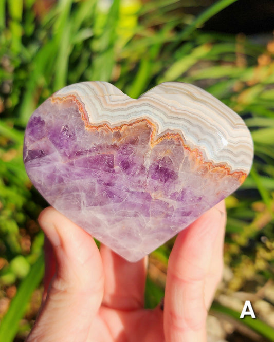 Crazy Lace Amethyst Hearts