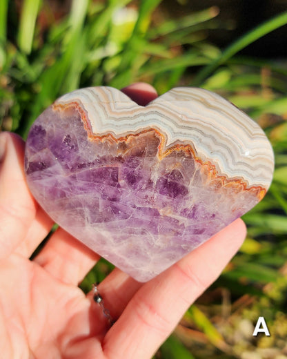 Crazy Lace Amethyst Hearts