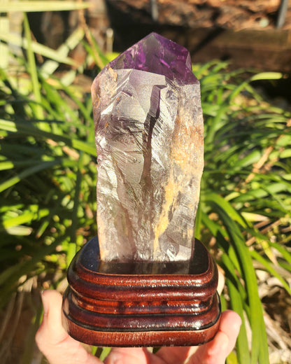 Dragon Tooth Amethyst in Custom Wood Base Bahia Amethyst